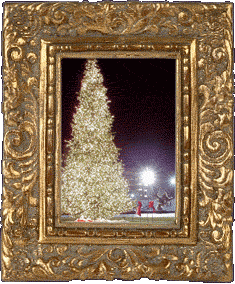 The Sugar Land Christmas tree!