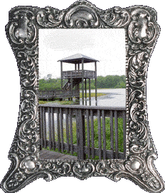 The White Lake observation tower!
