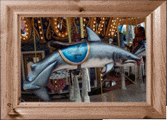 A carousel shark!