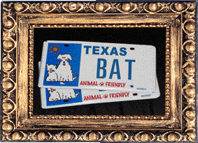 Texas BAT!