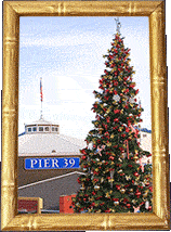 The Pier 39 Christmas tree!
