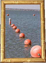 Buchanan buoys!