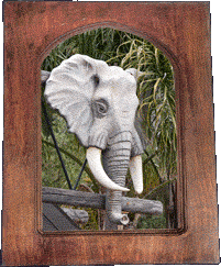 An elephant head!