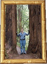 Bryan in the redwoods!