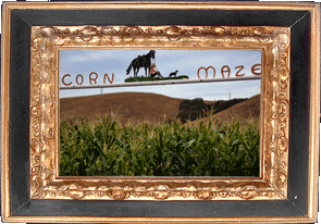 A corn maze!