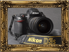 The Nikon D3s!