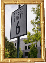 Speed Limit: 6!