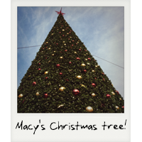 Macy's Christmas Tree!