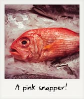 A pink snapper!