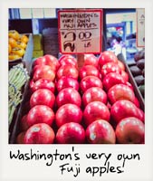 Washington's Very Own Fuji Apples!