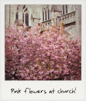 Pink flowers in church!