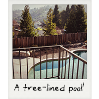 A tree-lined pool!