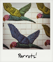 Parrots in the subway!