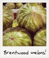 Brentwood Melons!