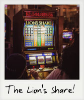 Lion's Share!