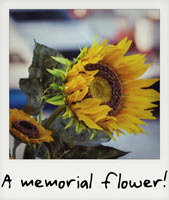 A memorial flower!