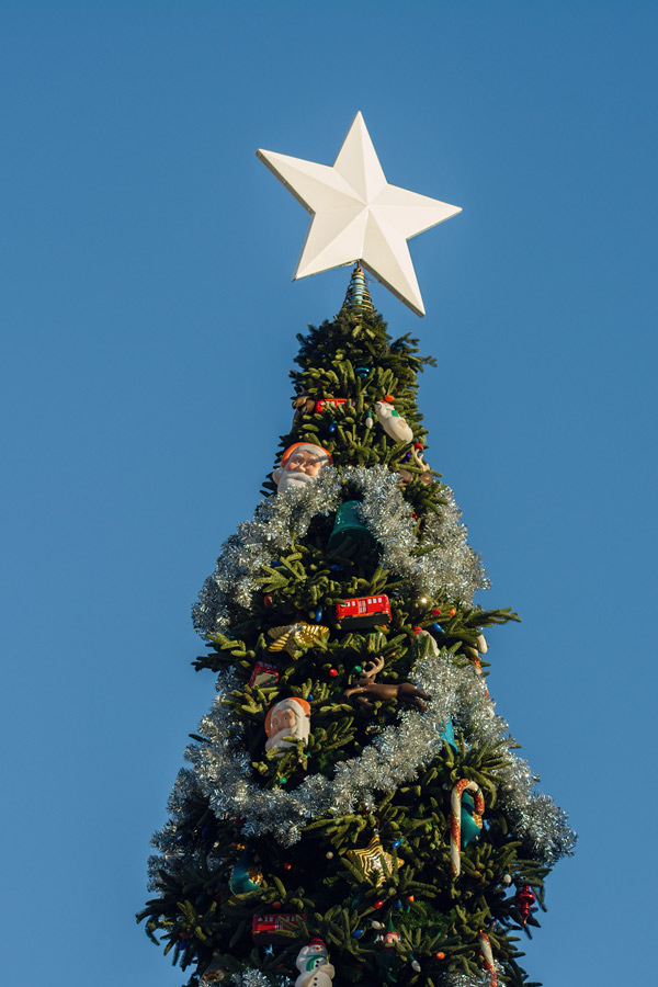 DisneyLand Christmas tree photo
