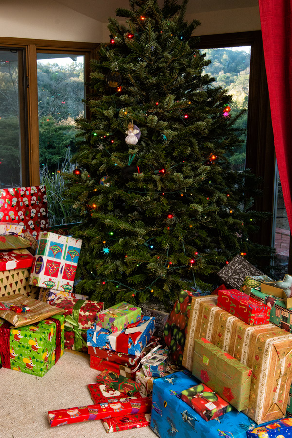 Christmas tree 2015 photo