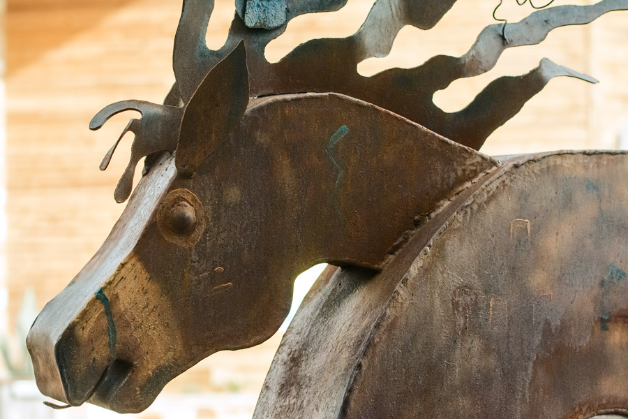 Metal horse sculpture at Oasis photo