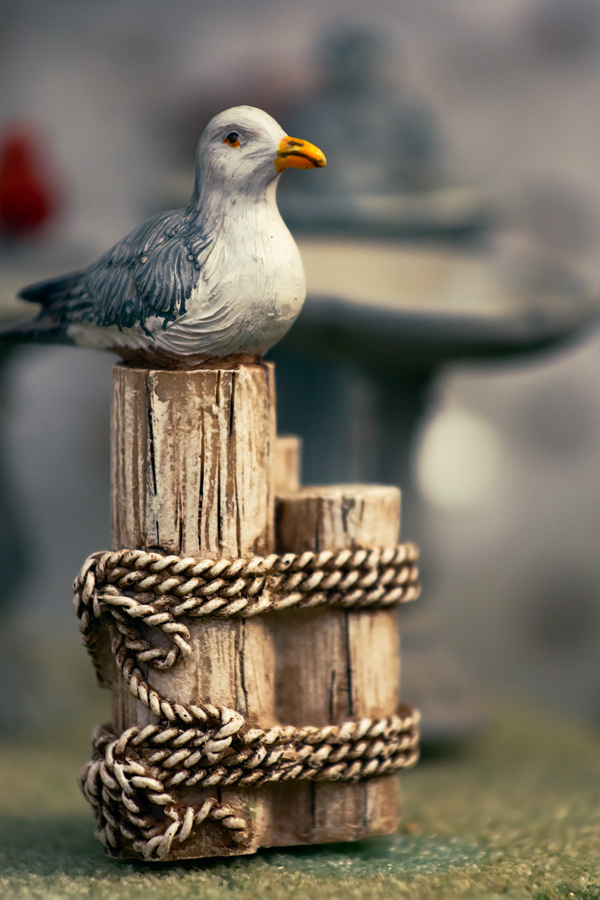 Seagull sculpture photo