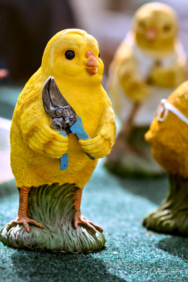 Yellow chick with pruning shears photo