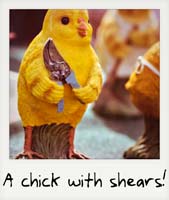 A chick with shears!