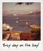 A busy day on the bay!