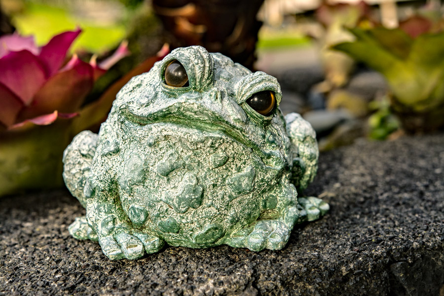Garden toad sculpture photo