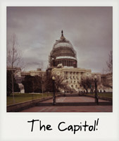 The United States Capitol!