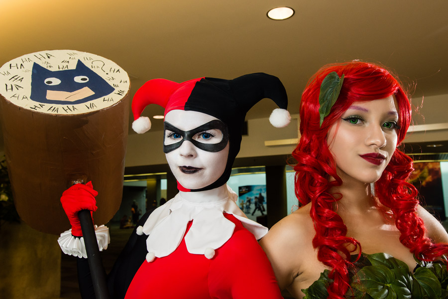 Harley Quinn and Poison Ivy cosplay photo