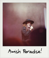 Amish Paradise!