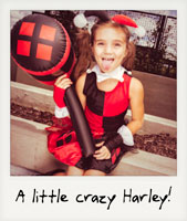 A little crazy Harley!