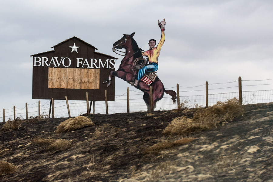 Bravo Farms sign photo