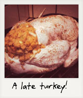 A late turkey!