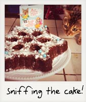 Sniffing a cake!
