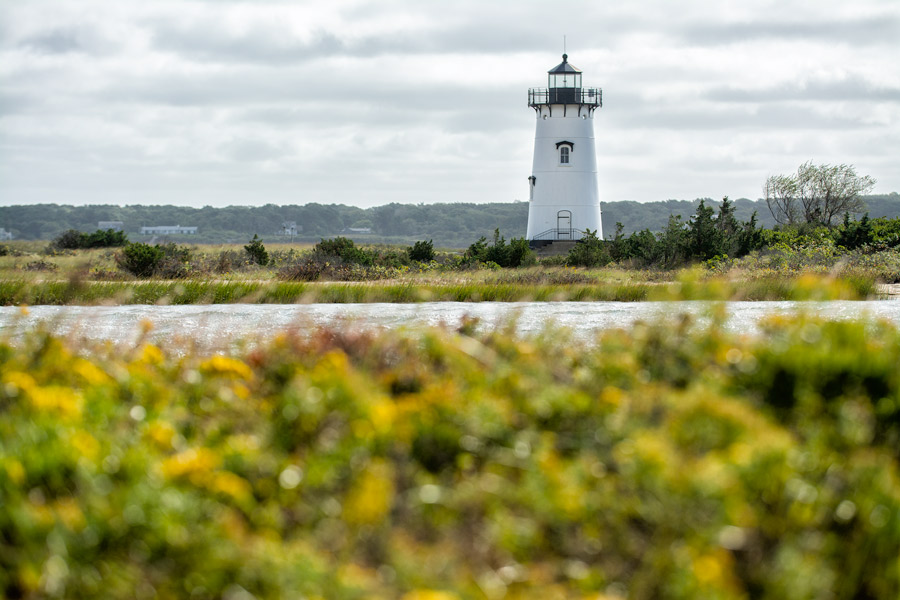 Martha's Vineyard lighthouse photo