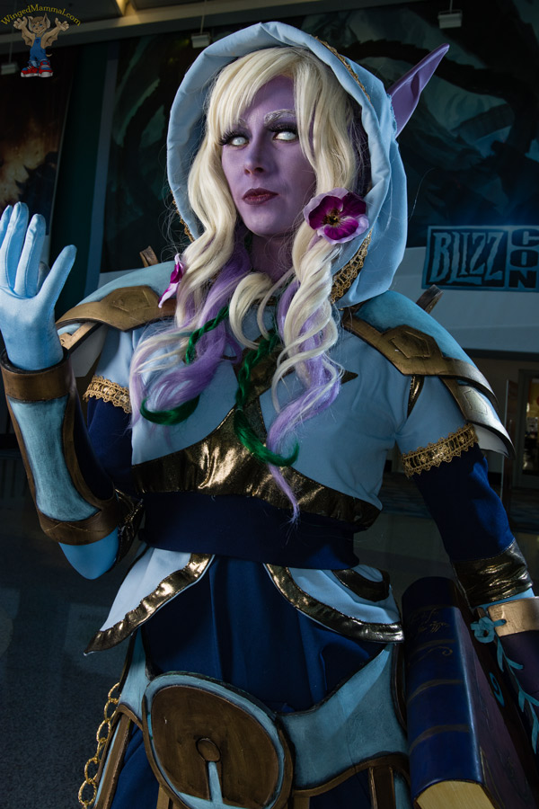 A picture of a Tier 5 Priest cosplay at BlizzCon 2015 taken by Batty!