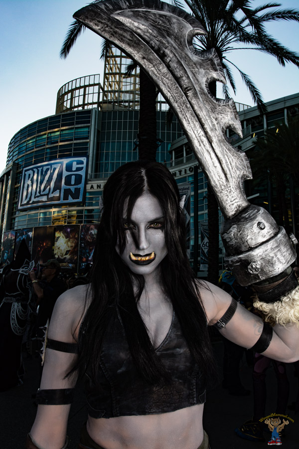A picture of Kargath Bladefist cosplay at BlizzCon 2015 taken by Batty!