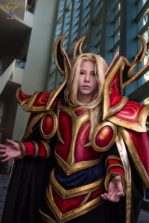 A picture of a Kael'thas cosplay at BlizzCon 2015 taken by Batty!