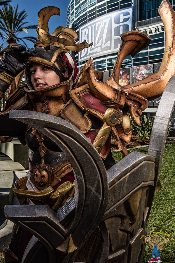 A picture of Crusader cosplay at BlizzCon 2016 taken by Batty!