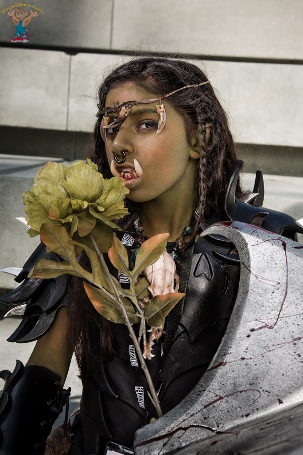 A picture of Daughter Orc cosplay at BlizzCon 2017 taken by Batty!