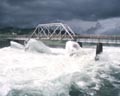 A raging torrent at Gatun Bridge!