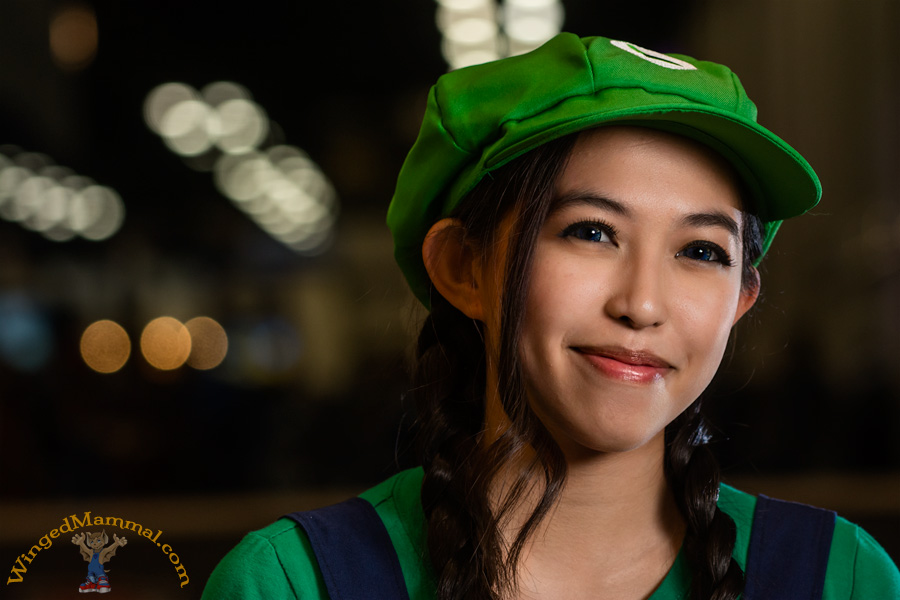 A picture of a Luigi cosplay at PAX South 2015!